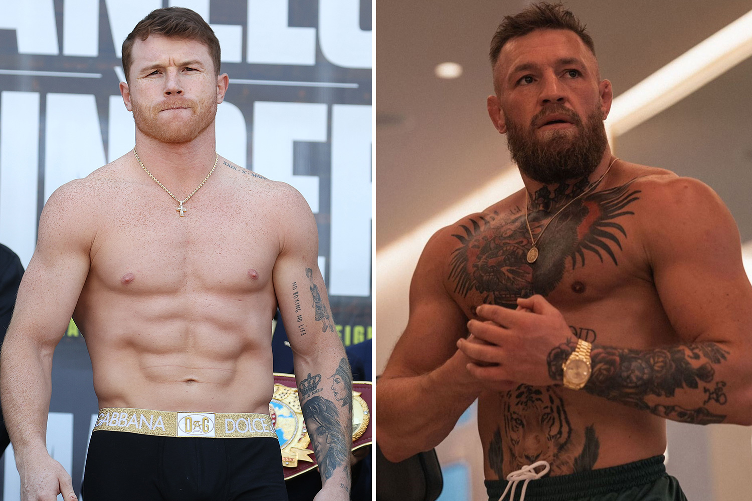 Canelo Alvarez Responded To Conor Mcgregor After The Irish Boxer’s ...