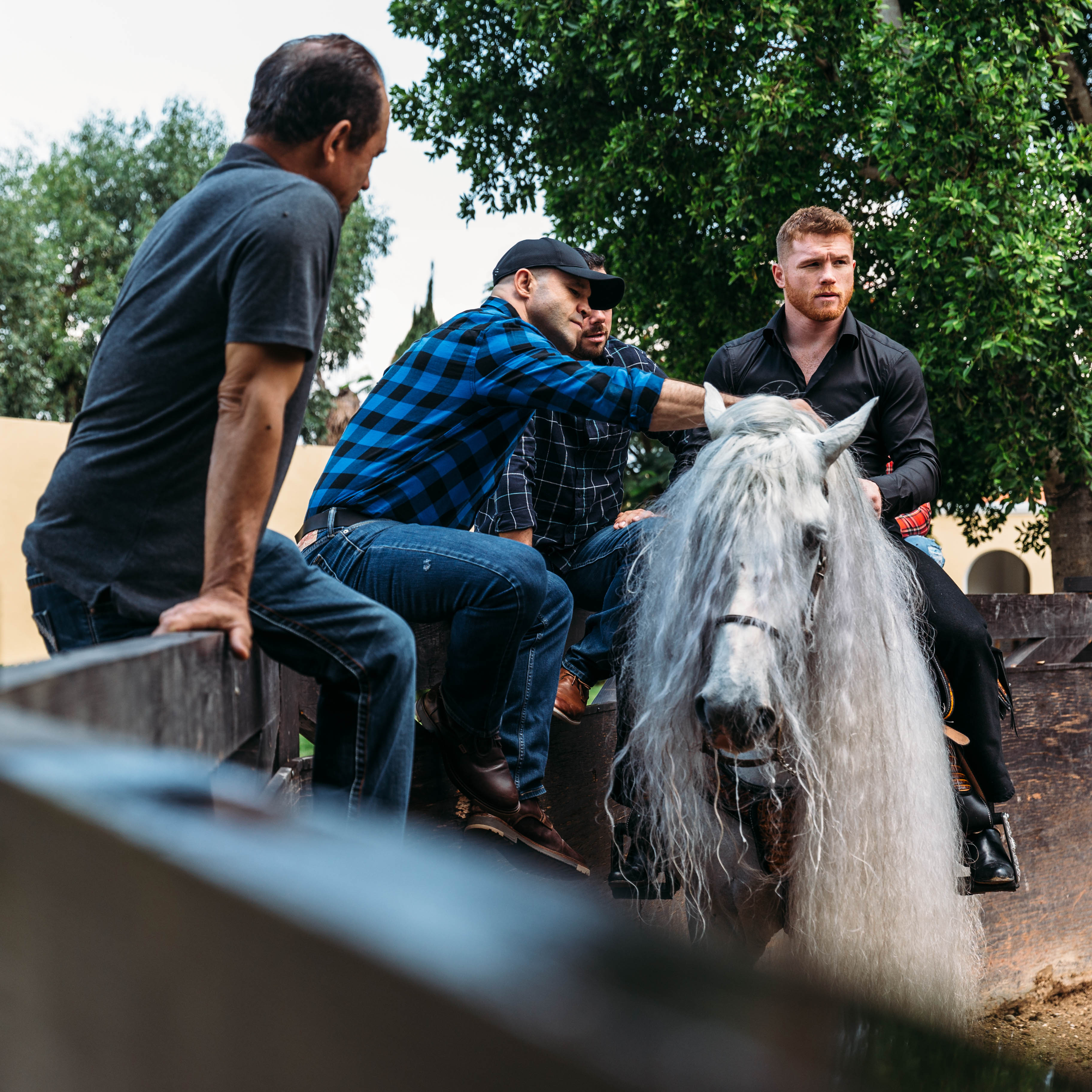 Explore Inside The Lavish Home Of Boxing King Saul ‘Canelo’ Alvarez ...